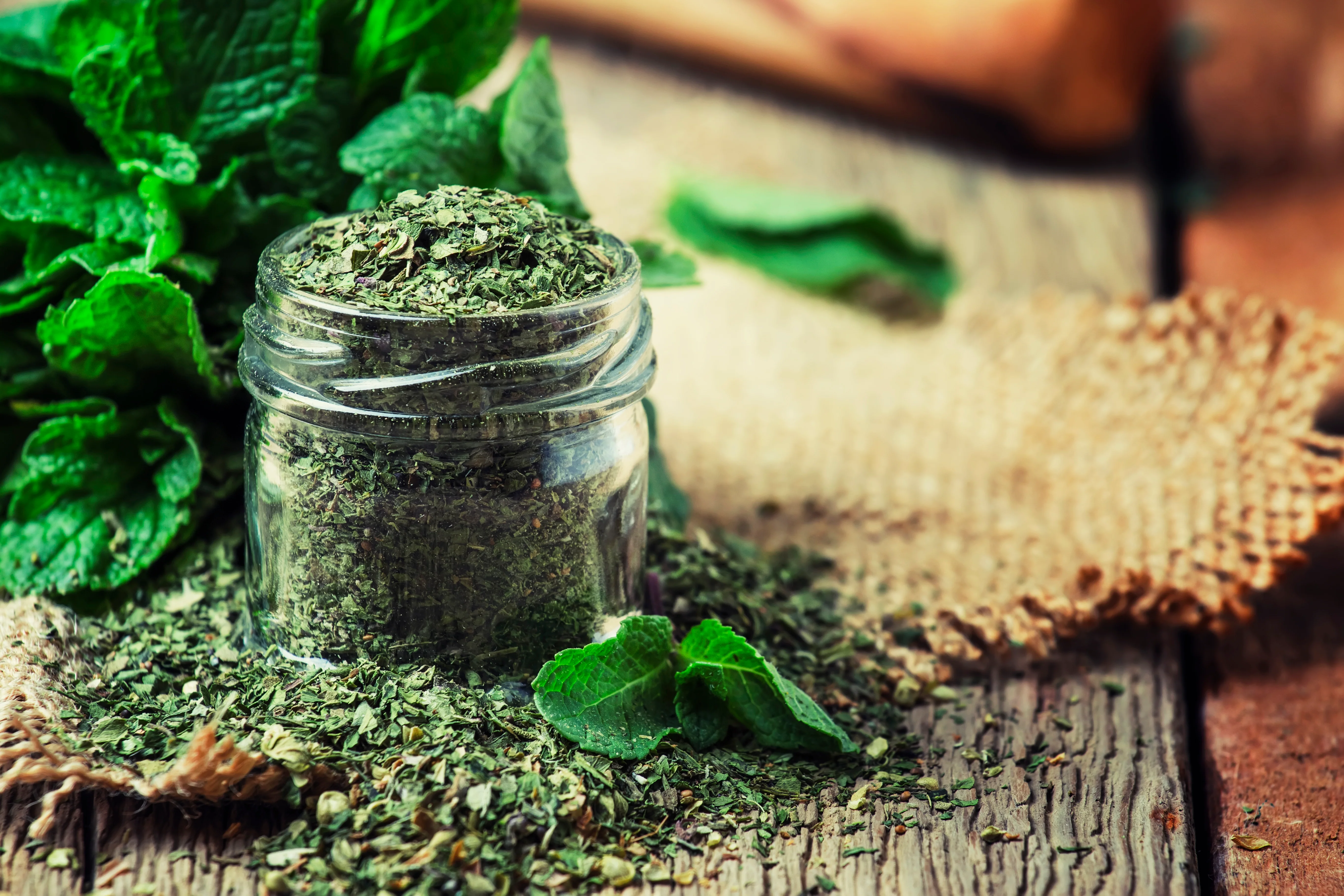 Lord of the Desert | Peppermint, Chamomile | Green Tea | Caffeinated - Image 5